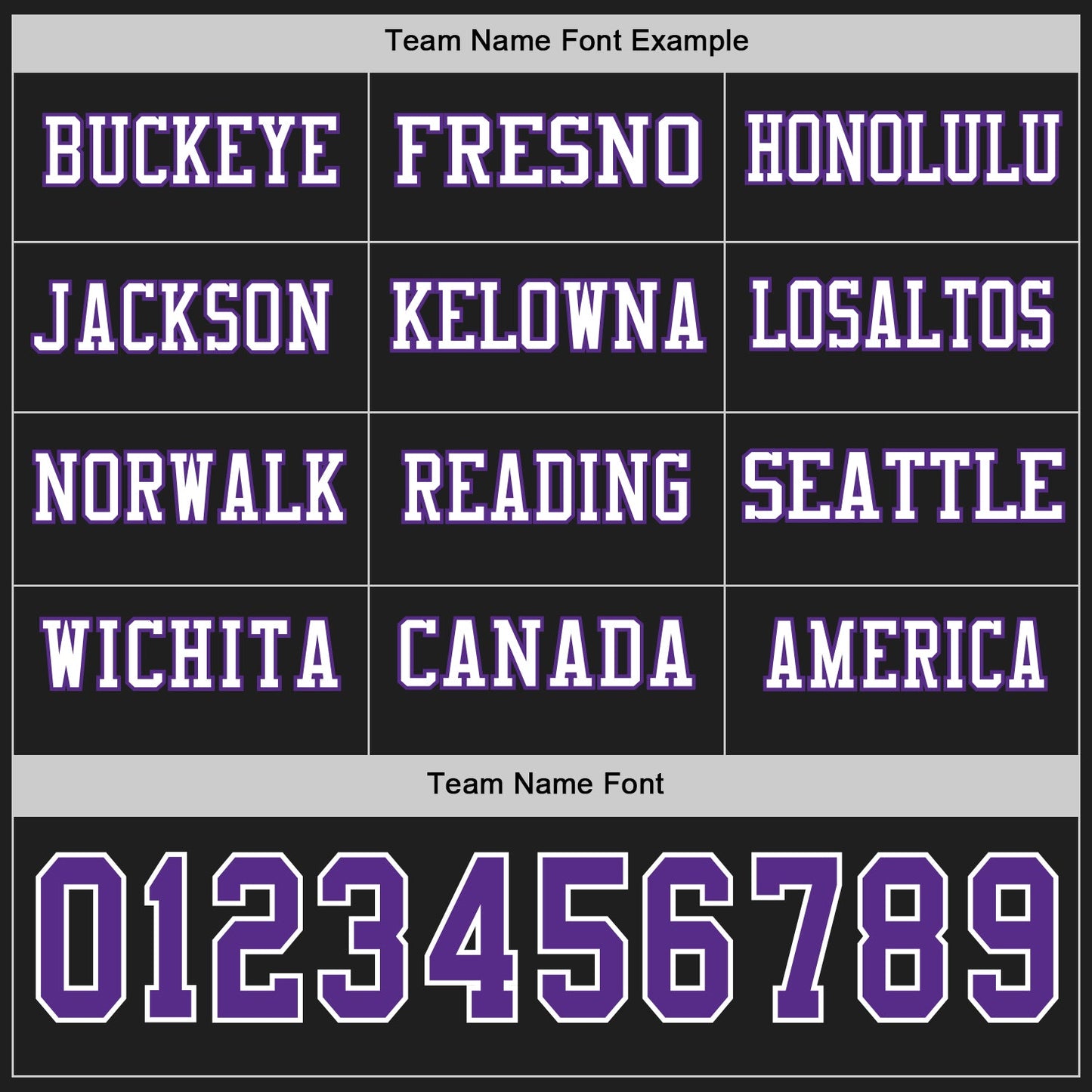 Custom Black Purple-White Long Sleeve Authentic Football Jersey