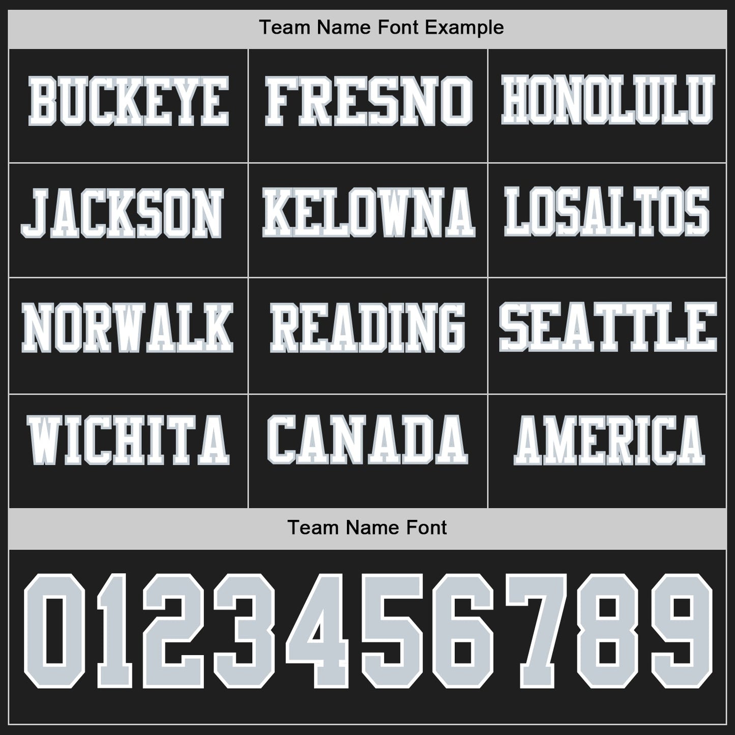 Custom Black Silver-White Long Sleeve Authentic Football Jersey