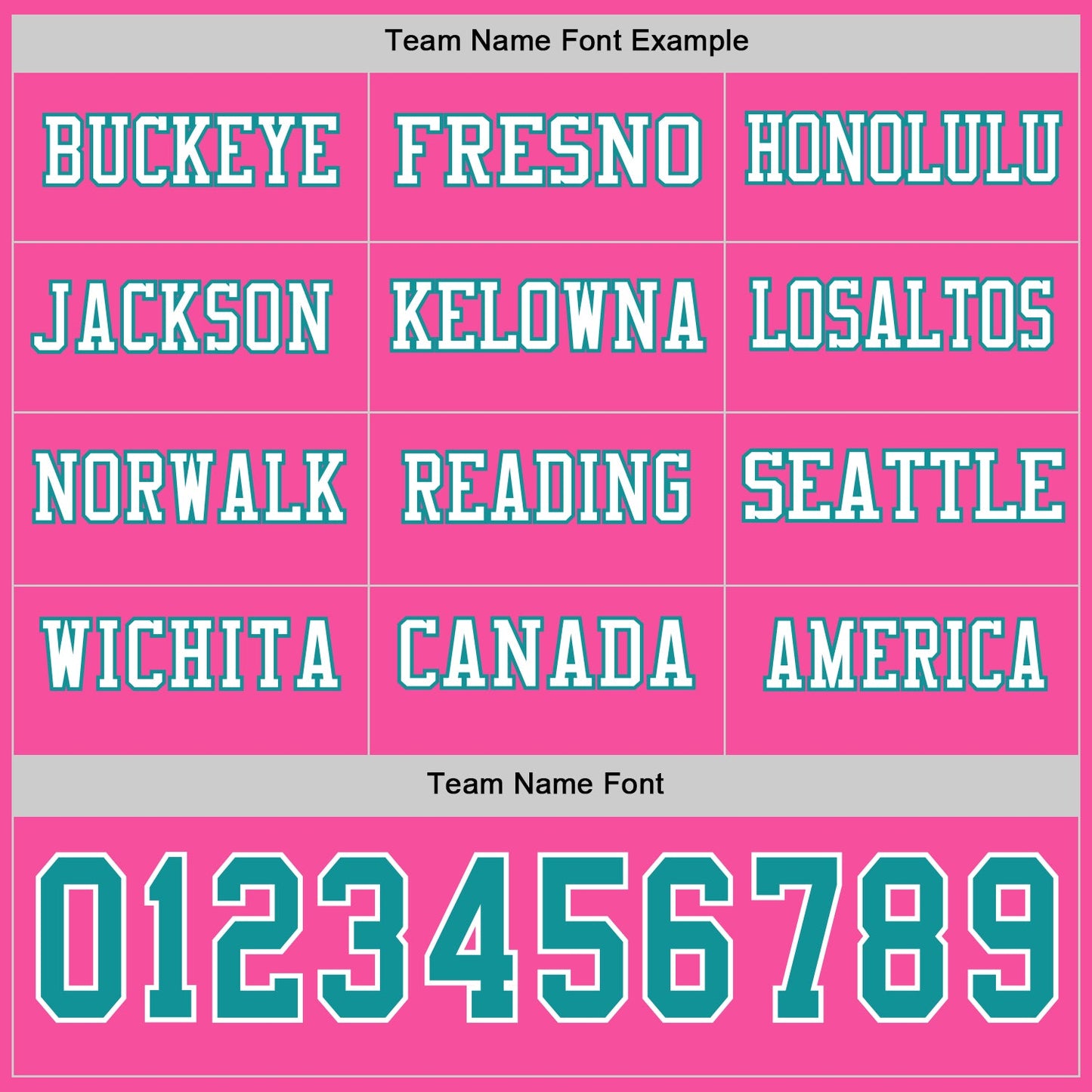Custom Pink Teal-White Long Sleeve Authentic Football Jersey