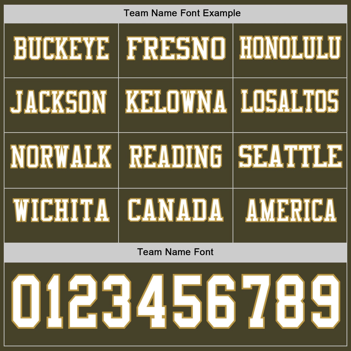Custom Olive White-Old Gold Long Sleeve Salute To Service Authentic Football Jersey