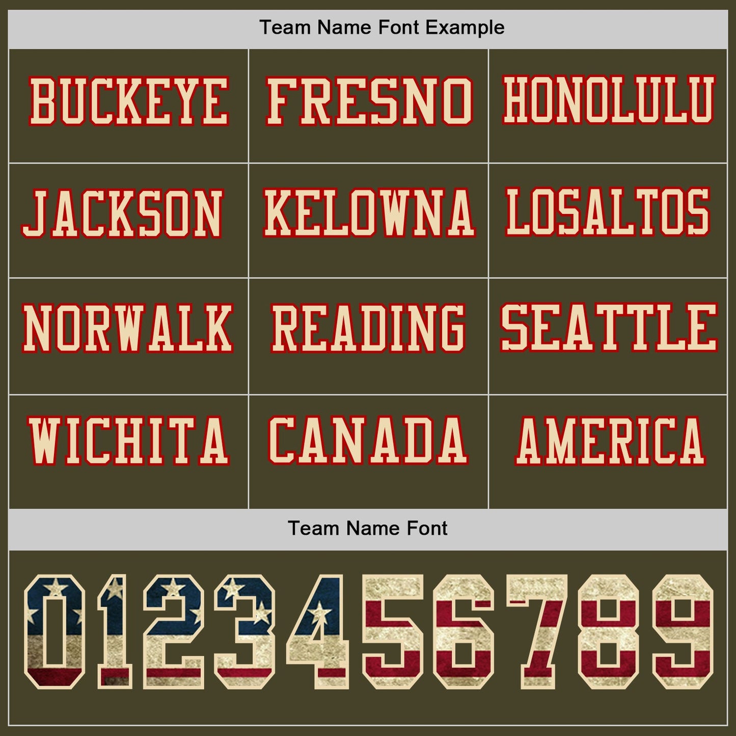 Custom Olive Vintage USA Flag Cream-Red Long Sleeve Salute To Service Authentic Football Jersey