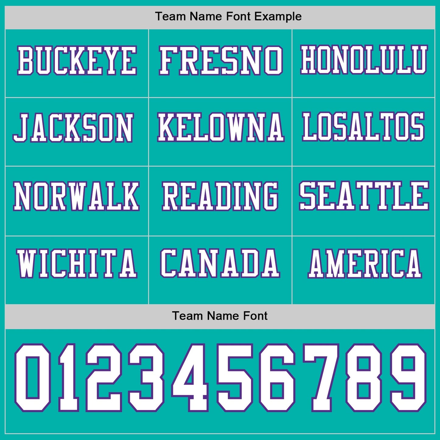 Custom Aqua White-Purple Long Sleeve Authentic Football Jersey