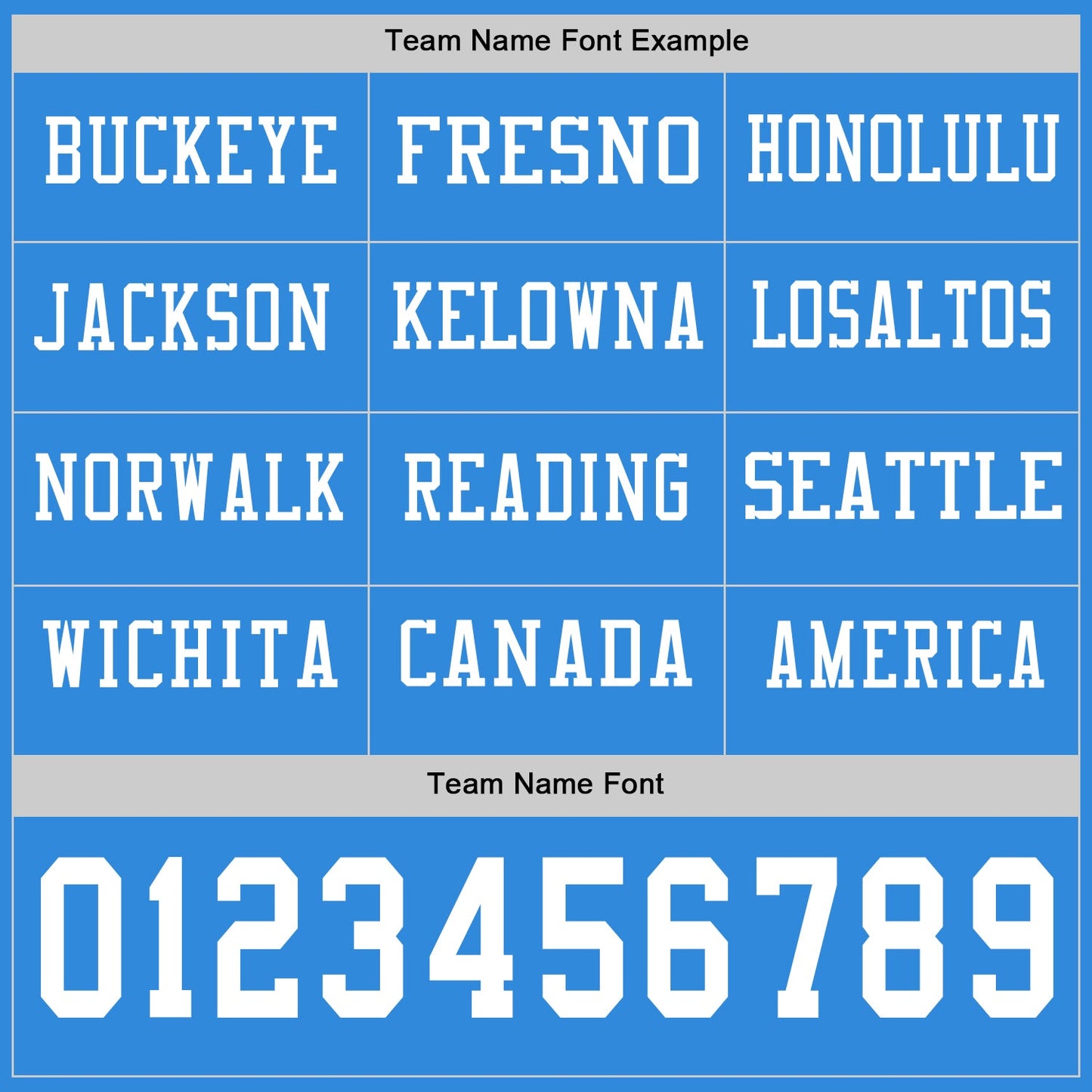 Custom Powder Blue White Long Sleeve Authentic Football Jersey