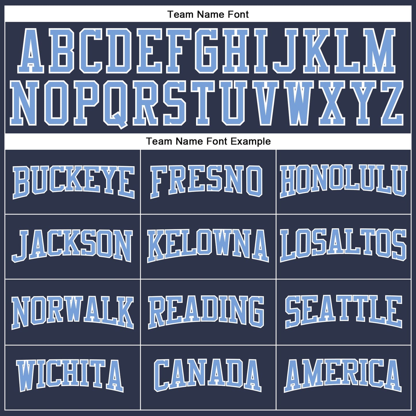 Custom Navy Light Blue-White Long Sleeve Performance Salute To Service T-Shirt