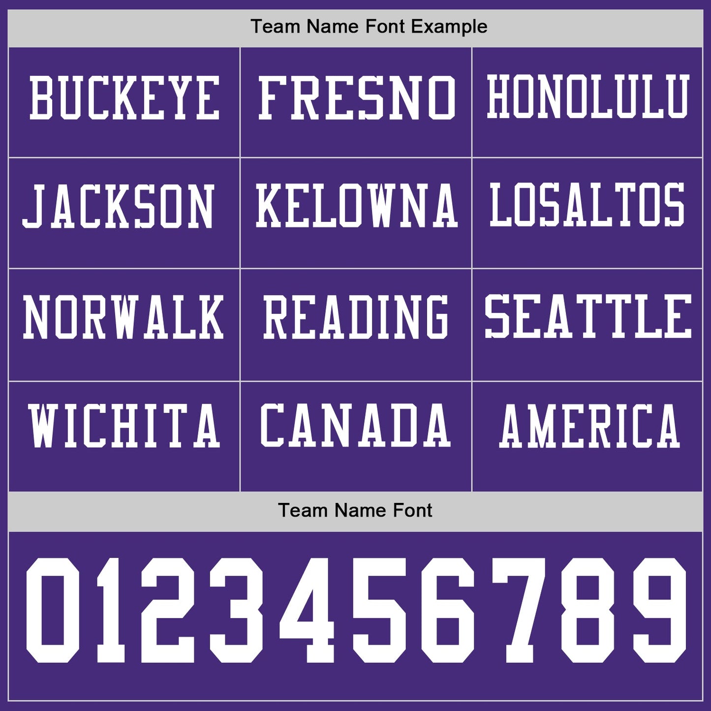 Custom Purple White Long Sleeve Authentic Football Jersey