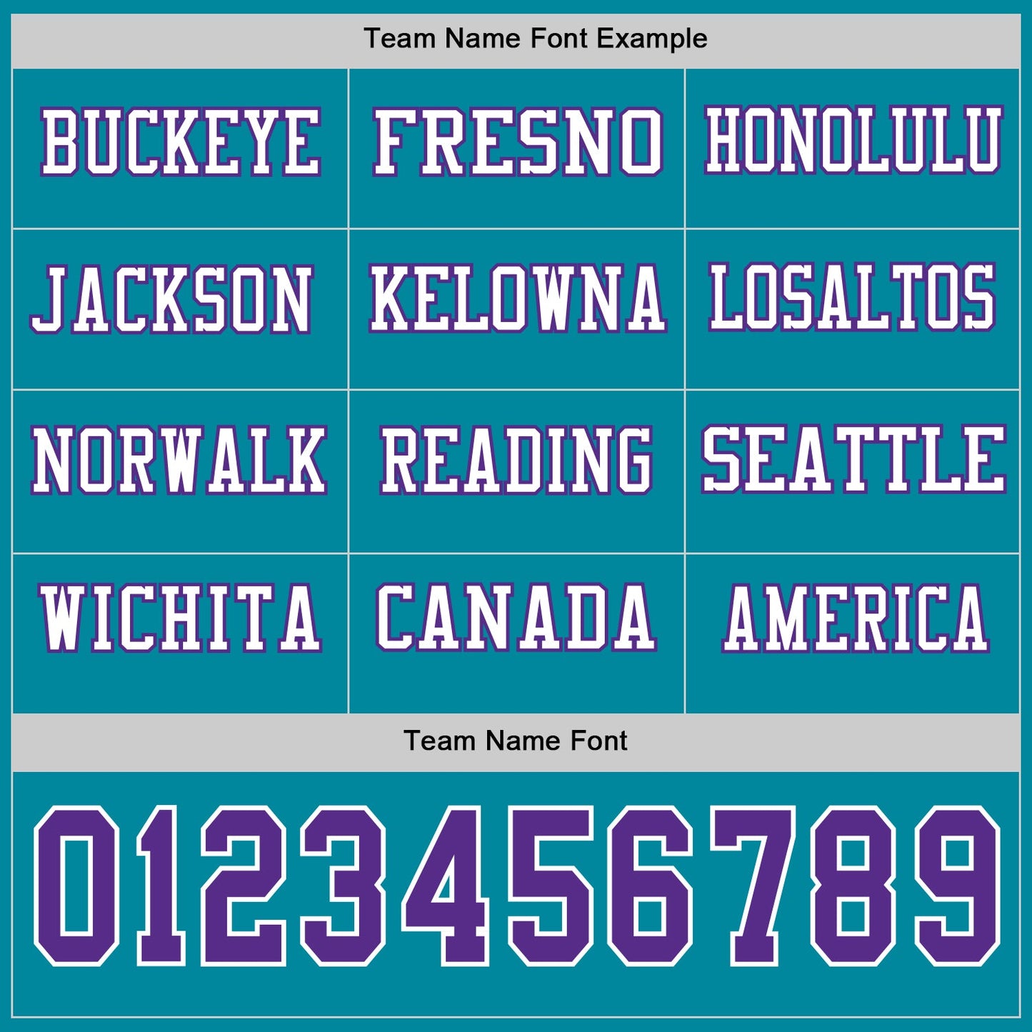 Custom Teal Purple-White Long Sleeve Authentic Football Jersey