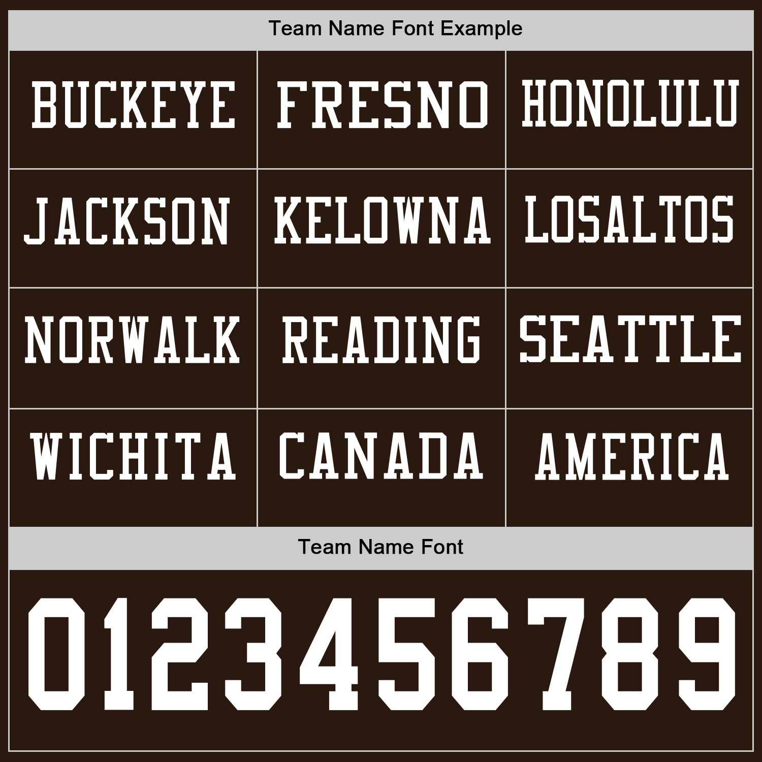 Custom Brown White Long Sleeve Authentic Football Jersey