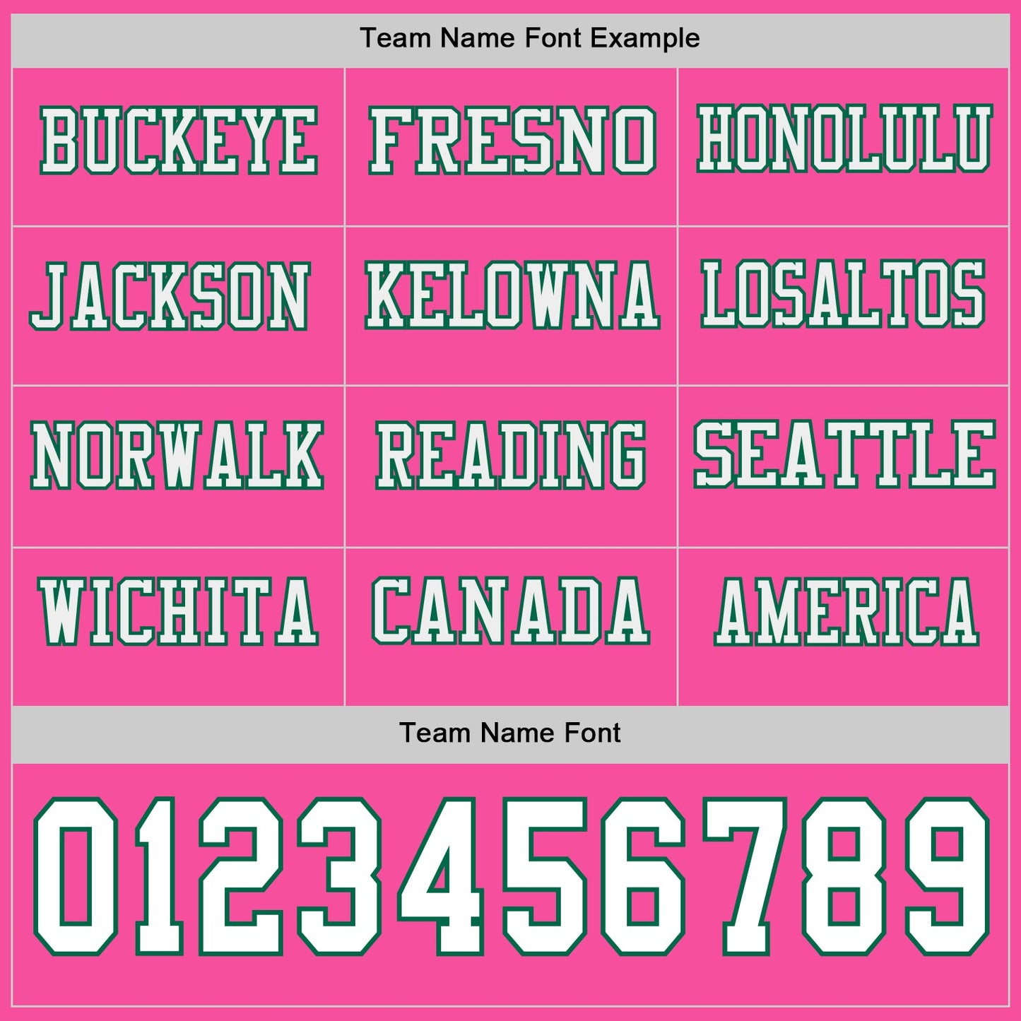 Custom Pink White=Kelly Green Long Sleeve Authentic Football Jersey