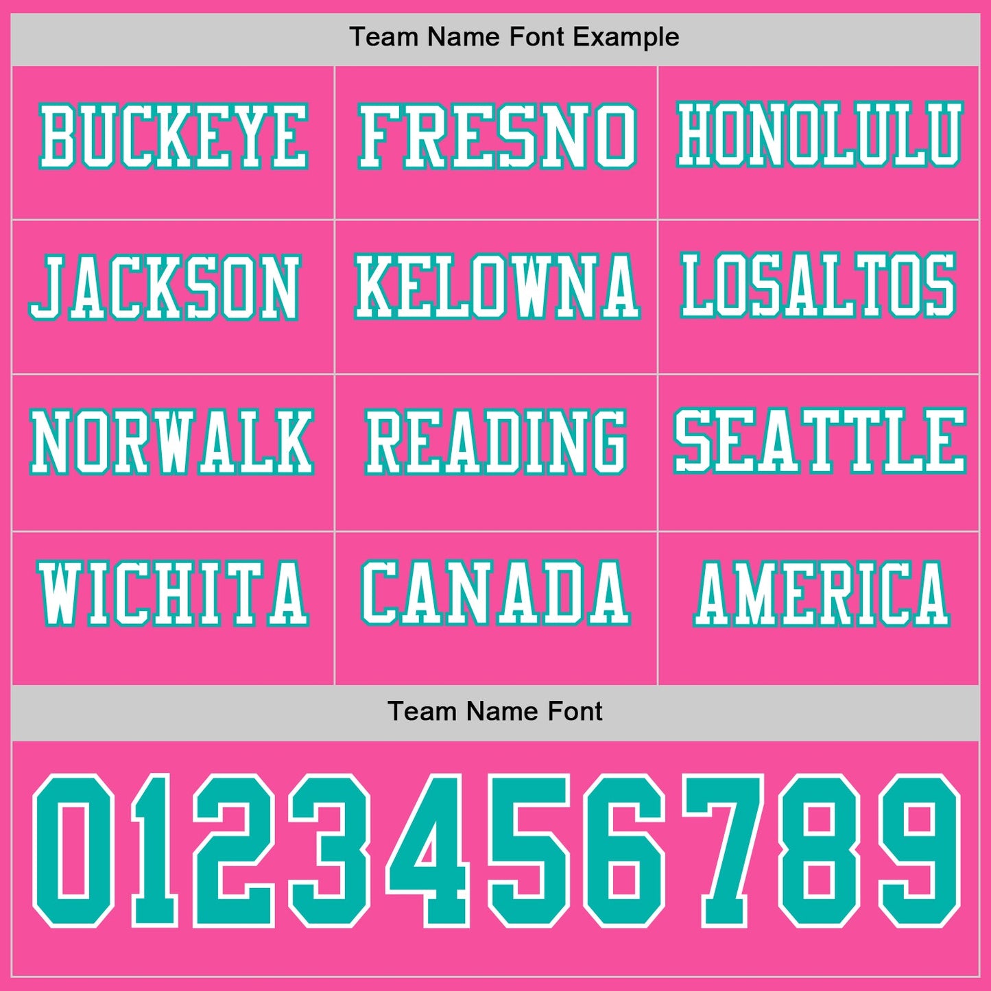 Custom Pink Aqua-White Long Sleeve Authentic Football Jersey