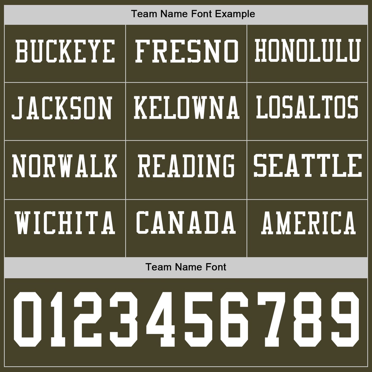 Custom Olive White Long Sleeve Salute To Service Authentic Football Jersey