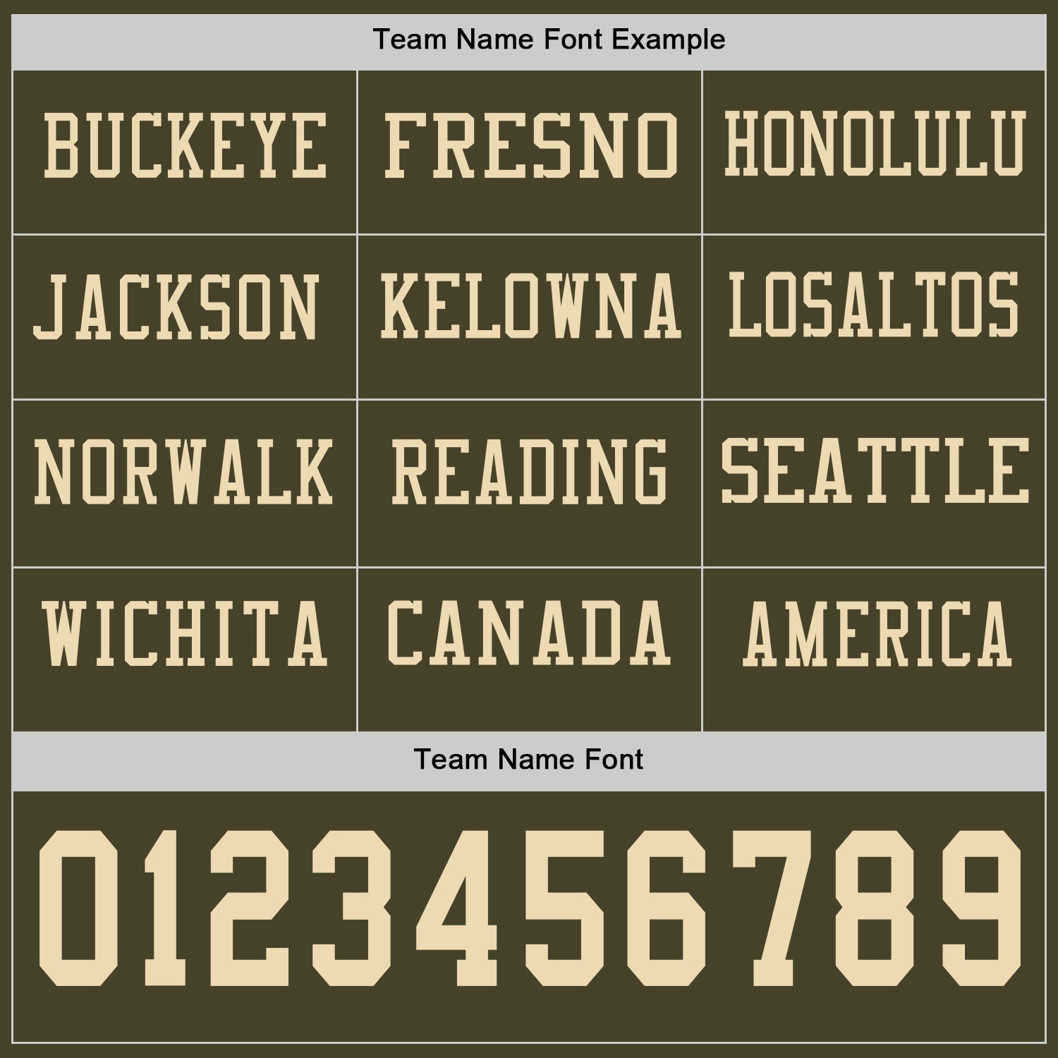 Custom Olive Cream Long Sleeve Salute To Service Authentic Football Jersey