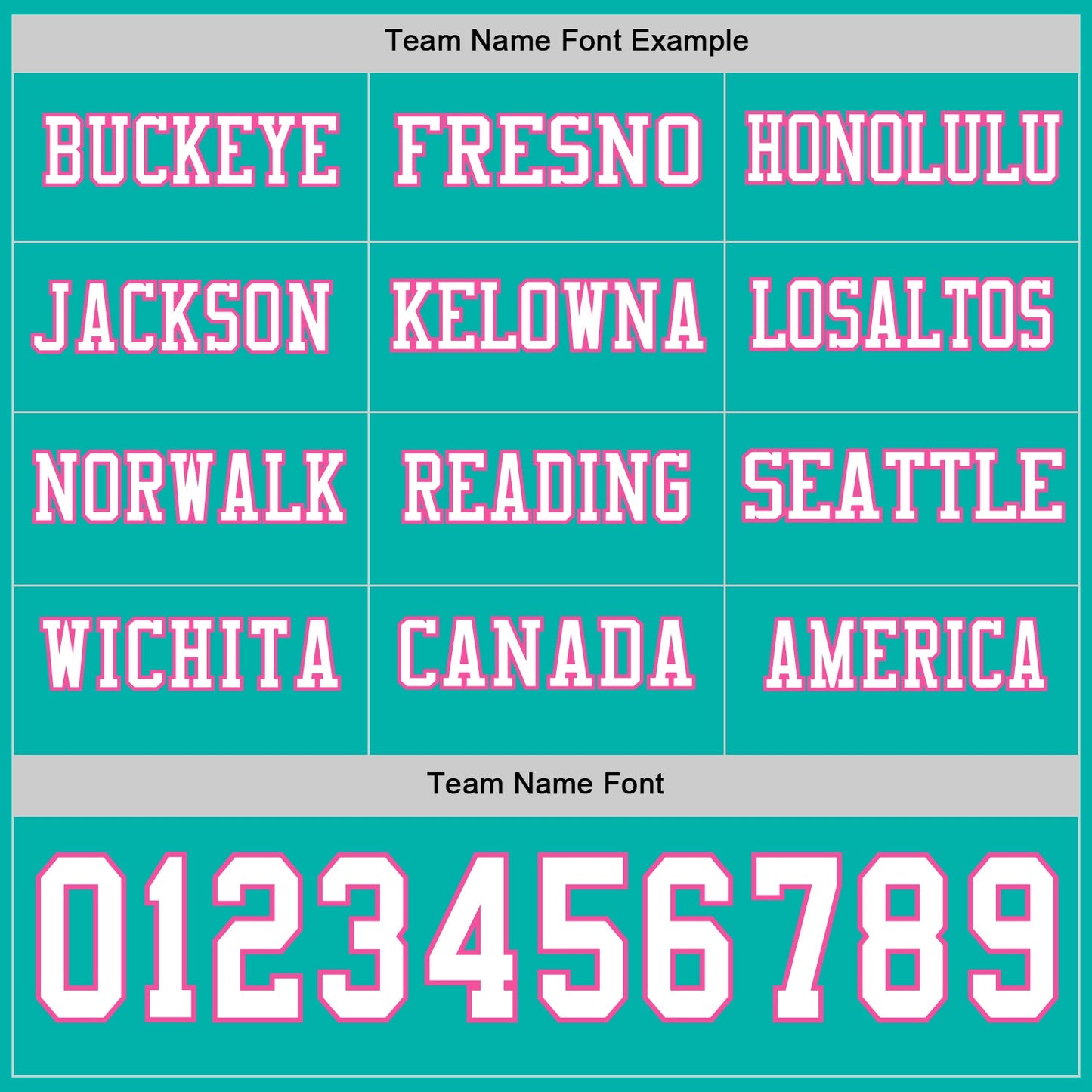 Custom Aqua White-Pink Long Sleeve Authentic Football Jersey