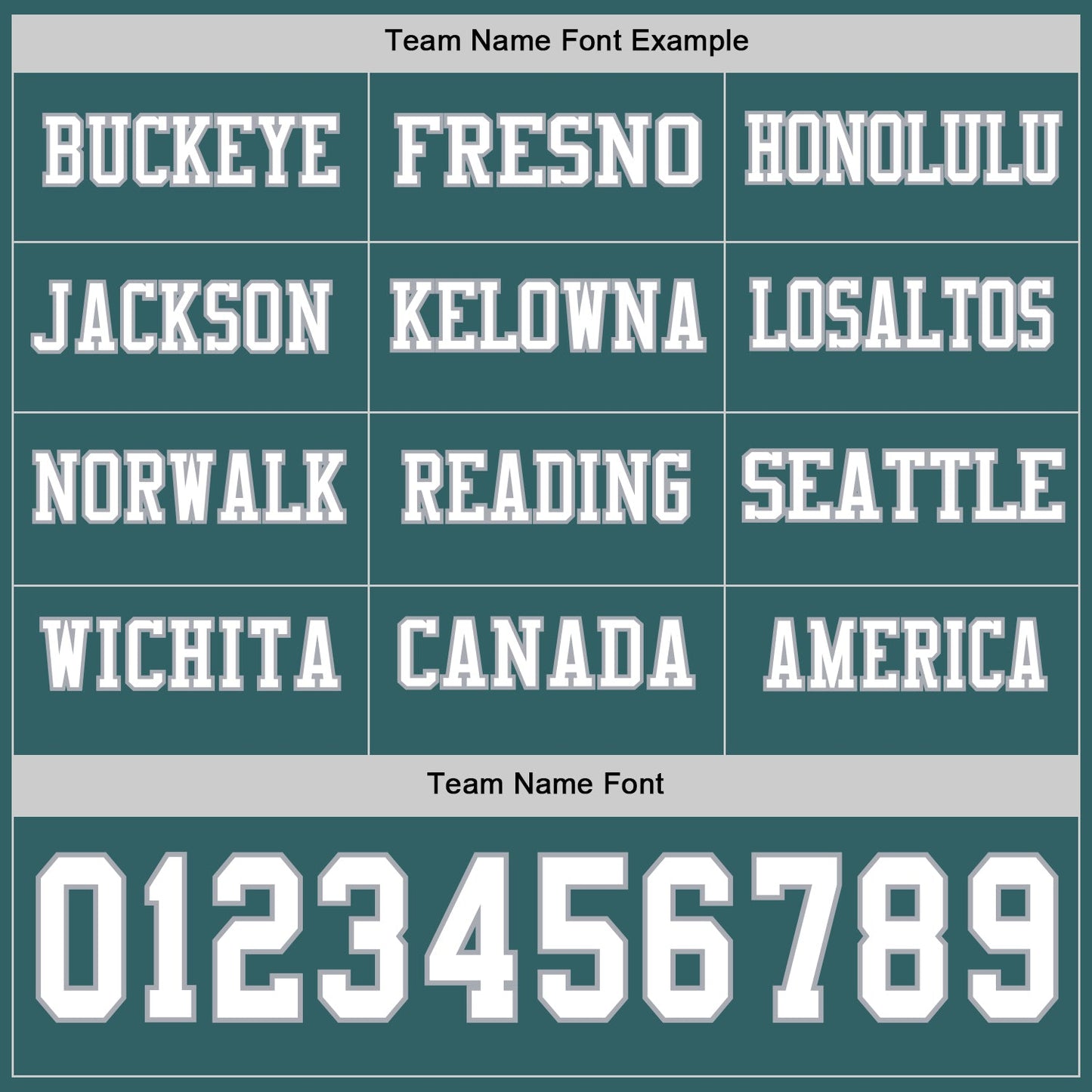 Custom Midnight Green White-Gray Long Sleeve Authentic Football Jersey