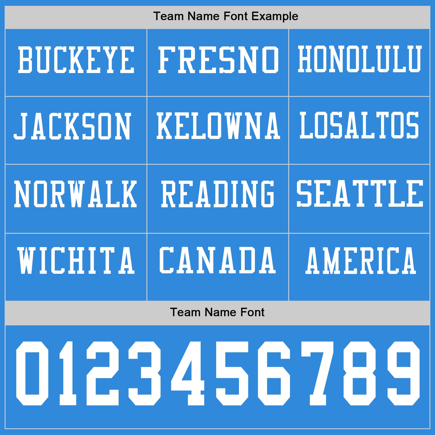 Custom Powder Blue White Long Sleeve Authentic Football Jersey