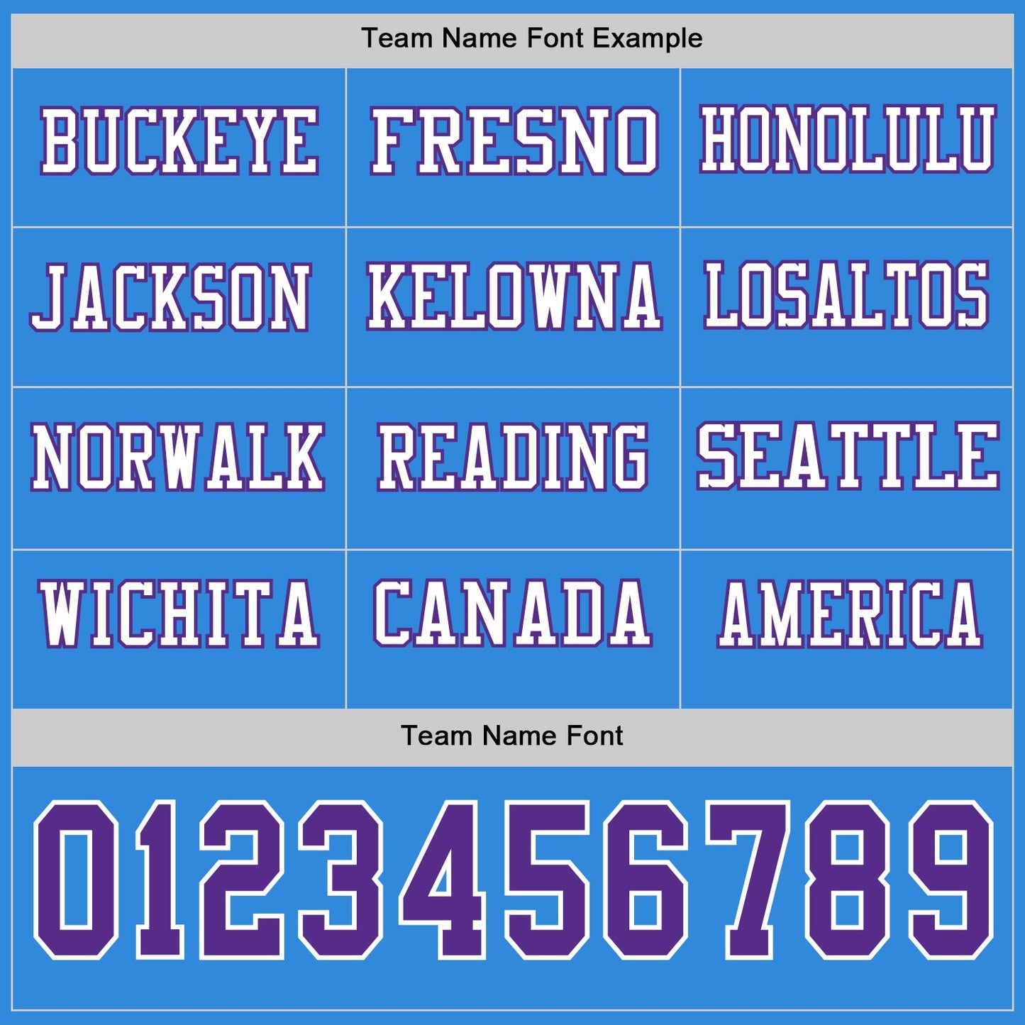 Custom Powder Blue Purple-White Long Sleeve Authentic Football Jersey