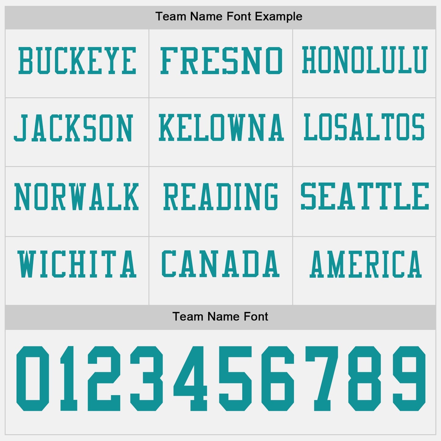 Custom White Teal Long Sleeve Authentic Football Jersey