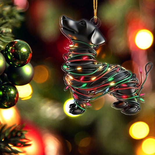 Bestchoo 2D Acrylic Ornament Amazing Dachshund